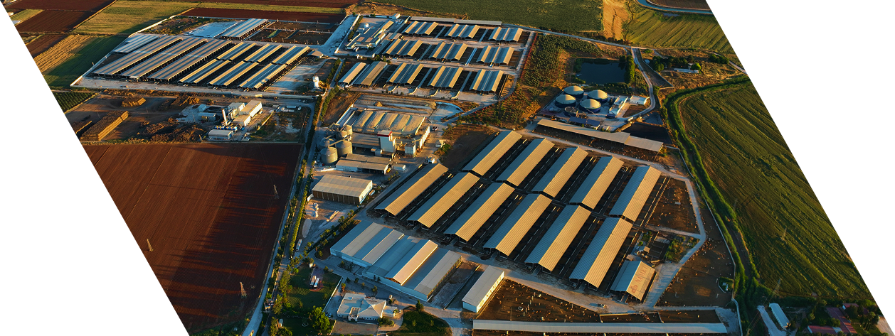 Sanliurfa Breeding Farm