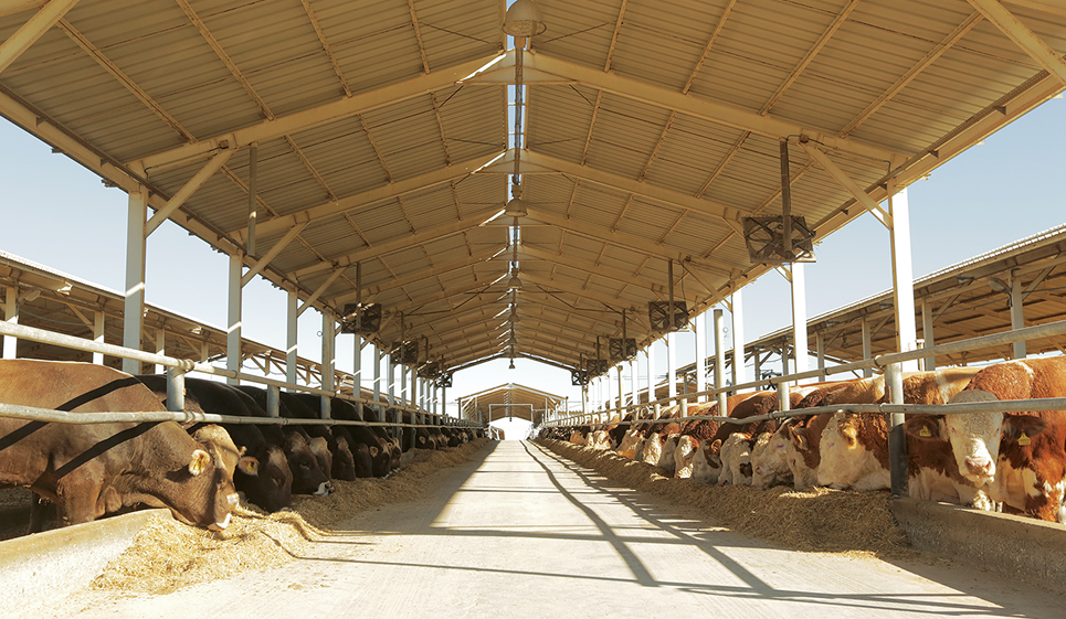 Sanliurfa Breeding Farm