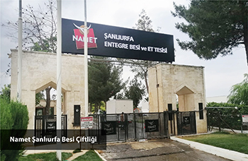 Namet Şanlıurfa Besi Çiftliği