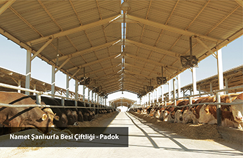 Namet Şanlıurfa Besi Çiftliği - Padok